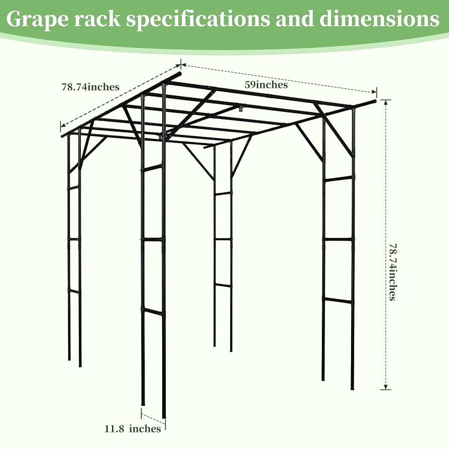 GIRUVI 「Grow on the Wall」Gracilius Amazon.com : Arbuxzuy 88in Steel Garden Arch Arbor Trellis